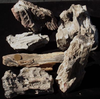 Bulk Southern California And Arizona Petrified Wood For Aquariums